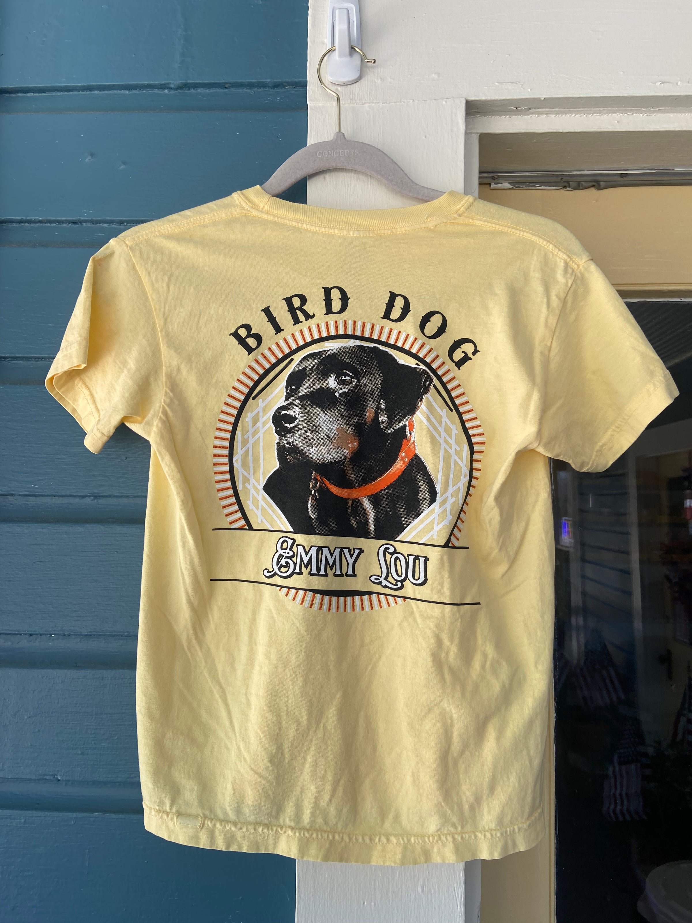 what does bird dog it mean